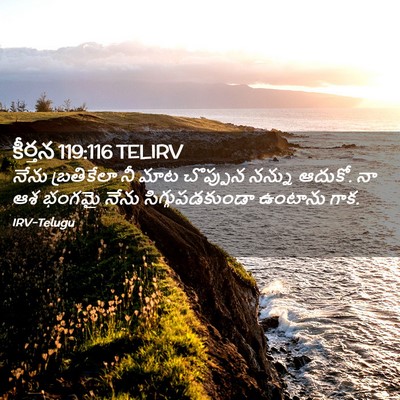 Picture 02 - కీర్తన 119:116 TELIRV - నేను బ్రతికేలా నీ - Bible Verse Picture