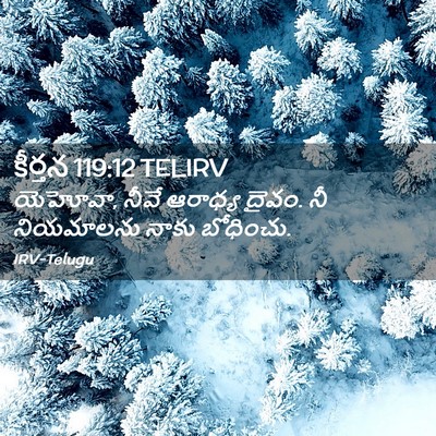Picture 02 - కీర్తన 119:12 TELIRV - యెహోవా, నీవే - Bible Verse Picture
