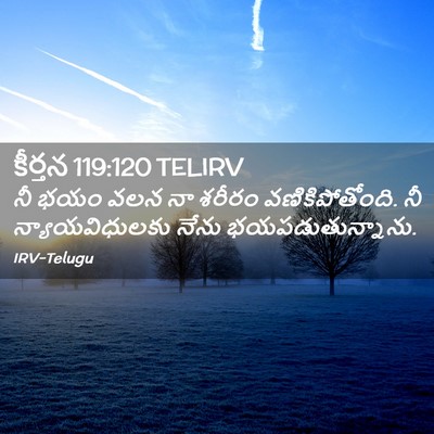 Picture 02 - కీర్తన 119:120 TELIRV - నీ భయం వలన నా శరీరం - Bible Verse Picture