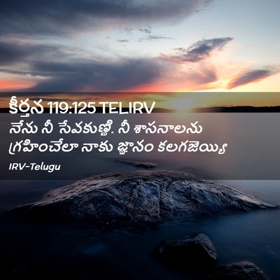 Picture 02 - కీర్తన 119:125 TELIRV - నేను నీ సేవకుణ్ణి. - Bible Verse Picture