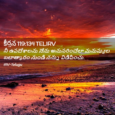 Picture 02 - కీర్తన 119:134 TELIRV - నీ ఉపదేశాలను నేను - Bible Verse Picture