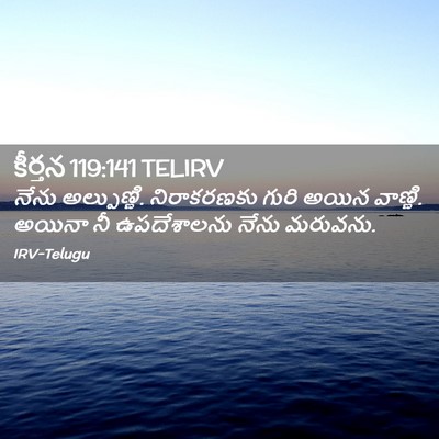 Picture 02 - కీర్తన 119:141 TELIRV - నేను అల్పుణ్ణి. - Bible Verse Picture