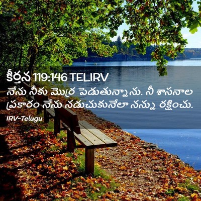 Picture 02 - కీర్తన 119:146 TELIRV - నేను నీకు మొర్ర - Bible Verse Picture