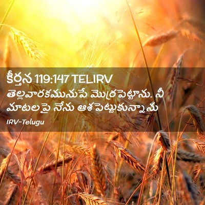 Picture 02 - కీర్తన 119:147 TELIRV - తెల్లవారకమునుపే - Bible Verse Picture