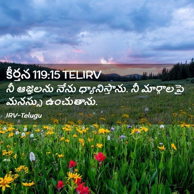 Picture 02 - కీర్తన 119:15 TELIRV - నీ ఆజ్ఞలను నేను - Bible Verse Picture
