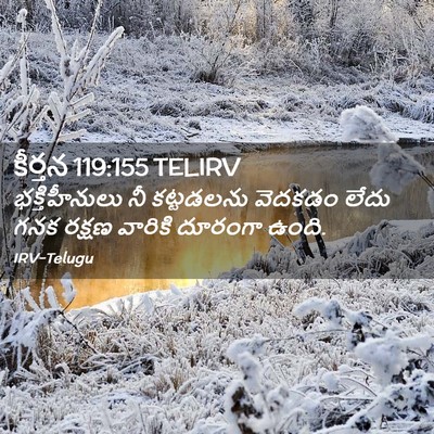 Picture 02 - కీర్తన 119:155 TELIRV - భక్తిహీనులు నీ - Bible Verse Picture