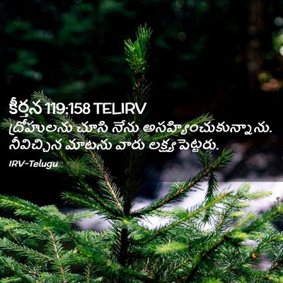 Picture 02 - కీర్తన 119:158 TELIRV - ద్రోహులను చూసి - Bible Verse Picture