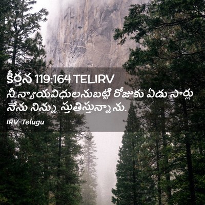 Picture 02 - కీర్తన 119:164 TELIRV - నీ - Bible Verse Picture