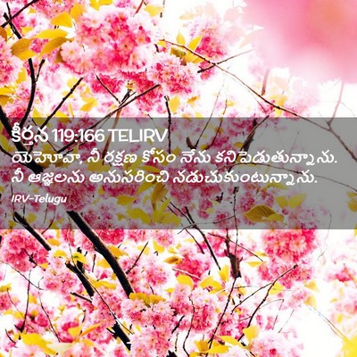 Picture 02 - కీర్తన 119:166 TELIRV - యెహోవా, నీ రక్షణ - Bible Verse Picture