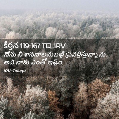 Picture 02 - కీర్తన 119:167 TELIRV - నేను నీ - Bible Verse Picture