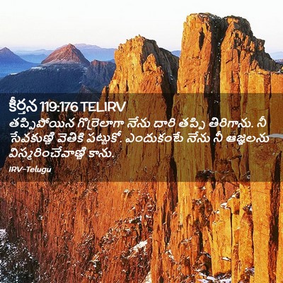 Picture 02 - కీర్తన 119:176 TELIRV - తప్పిపోయిన - Bible Verse Picture