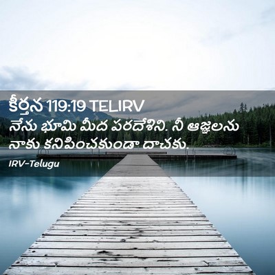 Picture 02 - కీర్తన 119:19 TELIRV - నేను భూమి మీద - Bible Verse Picture