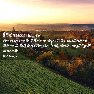 Picture 02 - కీర్తన 119:23 TELIRV - పాలకులు నాకు - Bible Verse Picture