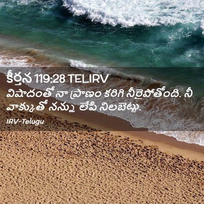 Picture 02 - కీర్తన 119:28 TELIRV - విషాదంతో నా - Bible Verse Picture