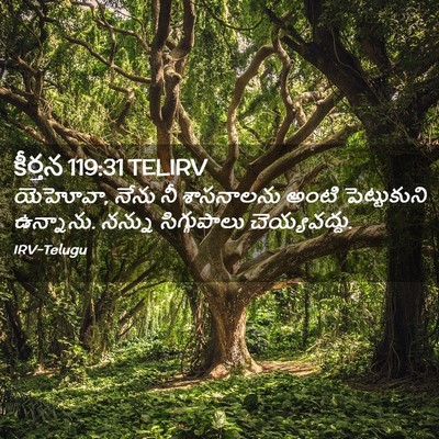 Picture 02 - కీర్తన 119:31 TELIRV - యెహోవా, నేను నీ - Bible Verse Picture