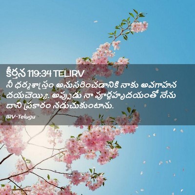 Picture 02 - కీర్తన 119:34 TELIRV - నీ ధర్మశాస్త్రం - Bible Verse Picture