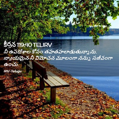 Picture 02 - కీర్తన 119:40 TELIRV - నీ ఉపదేశాల కోసం - Bible Verse Picture