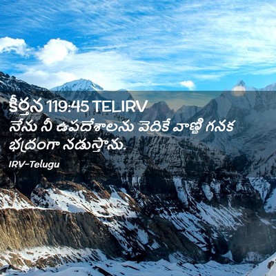 Picture 02 - కీర్తన 119:45 TELIRV - నేను నీ ఉపదేశాలను - Bible Verse Picture