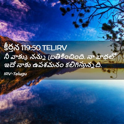 Picture 02 - కీర్తన 119:50 TELIRV - నీ వాక్కు నన్ను - Bible Verse Picture
