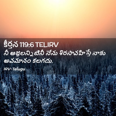 Picture 02 - కీర్తన 119:6 TELIRV - నీ ఆజ్ఞలన్నిటినీ - Bible Verse Picture