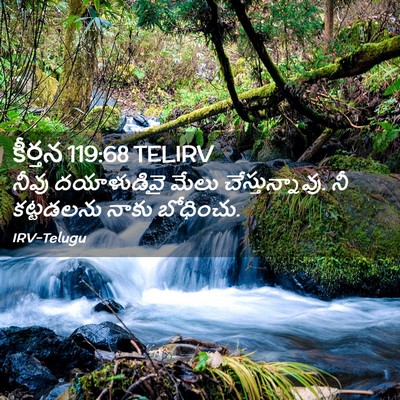 Picture 02 - కీర్తన 119:68 TELIRV - నీవు దయాళుడివై - Bible Verse Picture