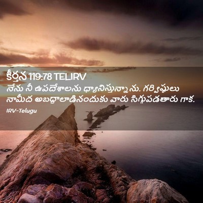 Picture 02 - కీర్తన 119:78 TELIRV - నేను నీ ఉపదేశాలను - Bible Verse Picture