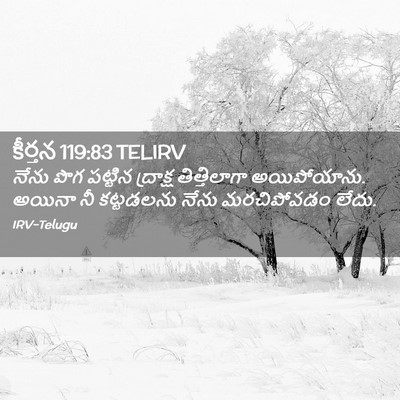 Picture 02 - కీర్తన 119:83 TELIRV - నేను పొగ పట్టిన - Bible Verse Picture