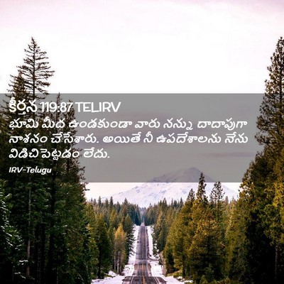 Picture 02 - కీర్తన 119:87 TELIRV - భూమి మీద ఉండకుండా - Bible Verse Picture