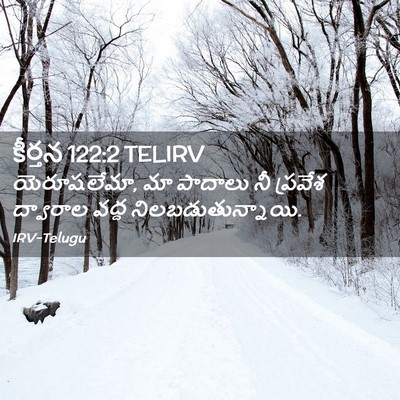 Picture 02 - కీర్తన 122:2 TELIRV - యెరూషలేమా, మా - Bible Verse Picture