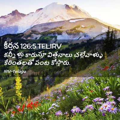 Picture 02 - కీర్తన 126:5 TELIRV - కన్నీళ్లు - Bible Verse Picture