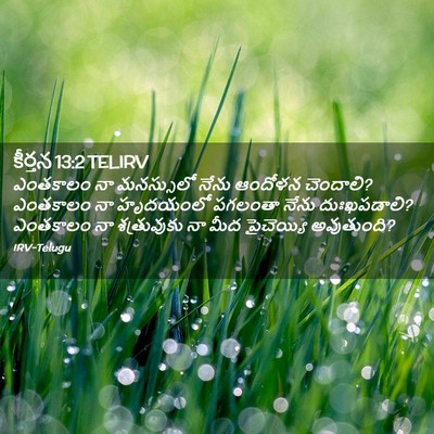 Picture 02 - కీర్తన 13:2 TELIRV - ఎంతకాలం నా - Bible Verse Picture