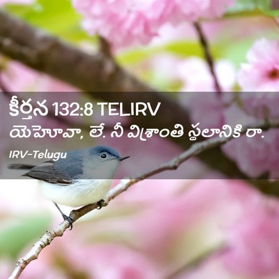 Picture 02 - కీర్తన 132:8 TELIRV - యెహోవా, లే. నీ - Bible Verse Picture