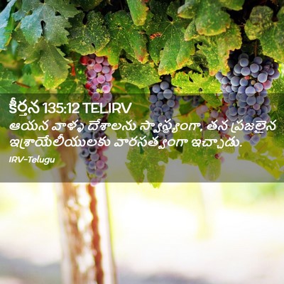 Picture 02 - కీర్తన 135:12 TELIRV - ఆయన వాళ్ళ దేశాలను - Bible Verse Picture