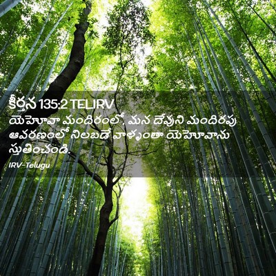 Picture 02 - కీర్తన 135:2 TELIRV - యెహోవా మందిరంలో, - Bible Verse Picture