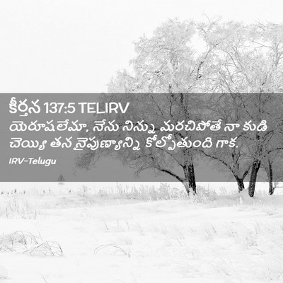 Picture 02 - కీర్తన 137:5 TELIRV - యెరూషలేమా, నేను - Bible Verse Picture