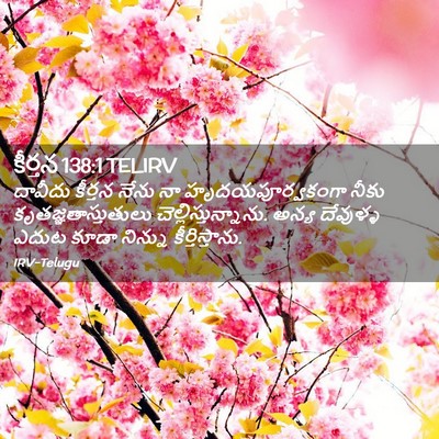 Picture 02 - కీర్తన 138:1 TELIRV - దావీదు కీర్తన - Bible Verse Picture
