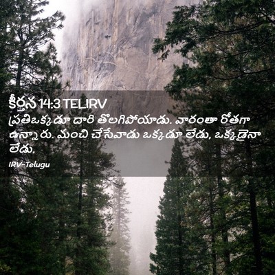 Picture 02 - కీర్తన 14:3 TELIRV - ప్రతిఒక్కడూ దారి - Bible Verse Picture