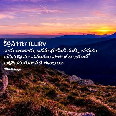 Picture 02 - కీర్తన 141:7 TELIRV - వారు అంటారు, ఒకడు - Bible Verse Picture