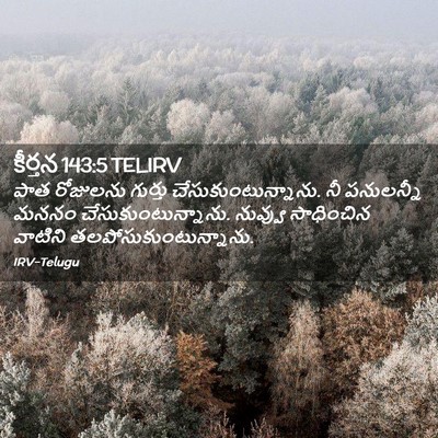 Picture 02 - కీర్తన 143:5 TELIRV - పాత రోజులను - Bible Verse Picture