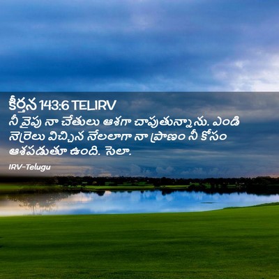 Picture 02 - కీర్తన 143:6 TELIRV - నీ వైపు నా చేతులు - Bible Verse Picture