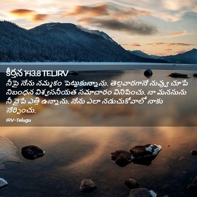 Picture 02 - కీర్తన 143:8 TELIRV - నీపై నేను నమ్మకం - Bible Verse Picture