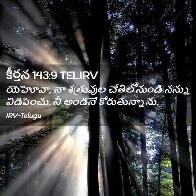 Picture 02 - కీర్తన 143:9 TELIRV - యెహోవా, నా - Bible Verse Picture