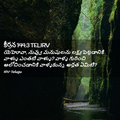 Picture 02 - కీర్తన 144:3 TELIRV - యెహోవా, నువ్వు - Bible Verse Picture