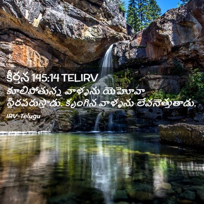 Picture 02 - కీర్తన 145:14 TELIRV - కూలిపోతున్న - Bible Verse Picture