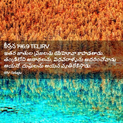 Picture 02 - కీర్తన 146:9 TELIRV - ఇతర జాతుల ప్రజలను - Bible Verse Picture