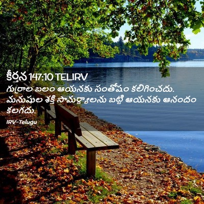 Picture 02 - కీర్తన 147:10 TELIRV - గుర్రాల బలం ఆయనకు - Bible Verse Picture