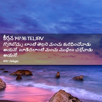 Picture 02 - కీర్తన 147:16 TELIRV - గొర్రెబొచ్చు - Bible Verse Picture
