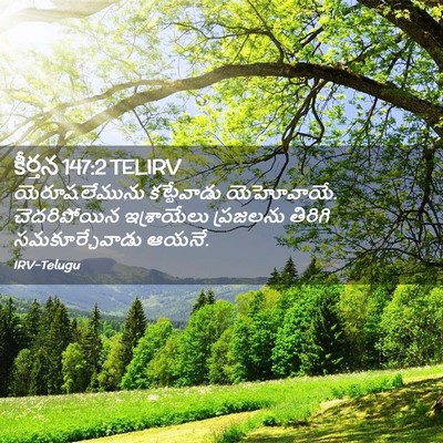 Picture 02 - కీర్తన 147:2 TELIRV - యెరూషలేమును - Bible Verse Picture