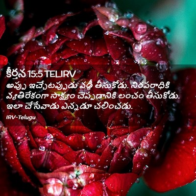 Picture 02 - కీర్తన 15:5 TELIRV - అప్పు - Bible Verse Picture