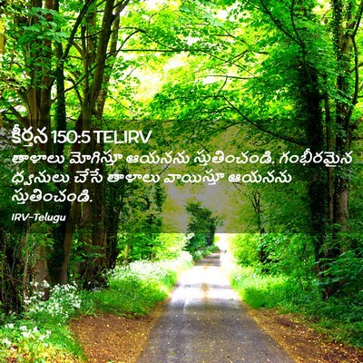 Picture 02 - కీర్తన 150:5 TELIRV - తాళాలు మోగిస్తూ - Bible Verse Picture